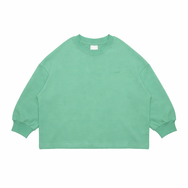 Crewneck Long Sleeve Shirt - More Colors