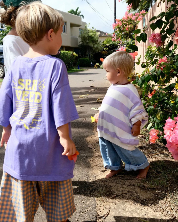 Ziggy Zaza Toro Pullover Lilac