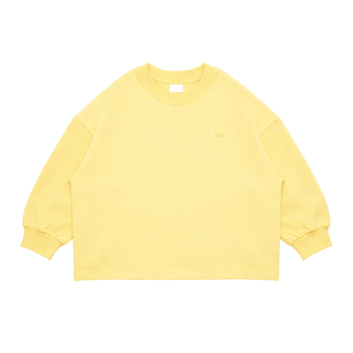 Crewneck Long Sleeve Shirt - More Colors