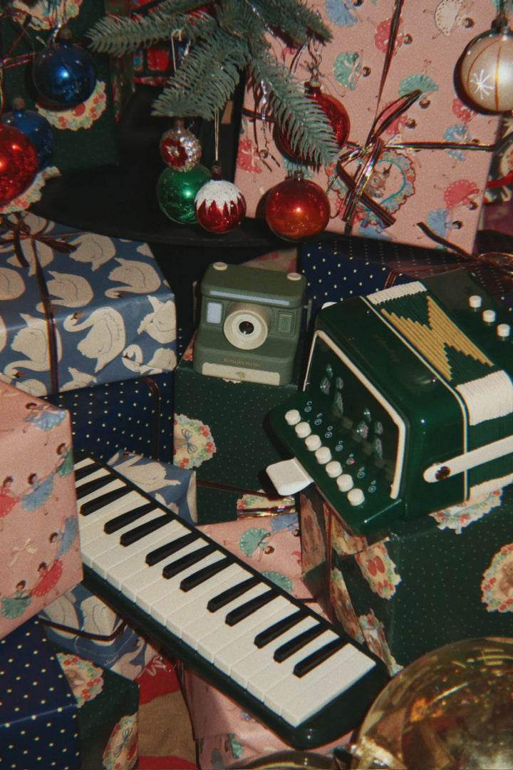 Konges Sløjd Accordeon