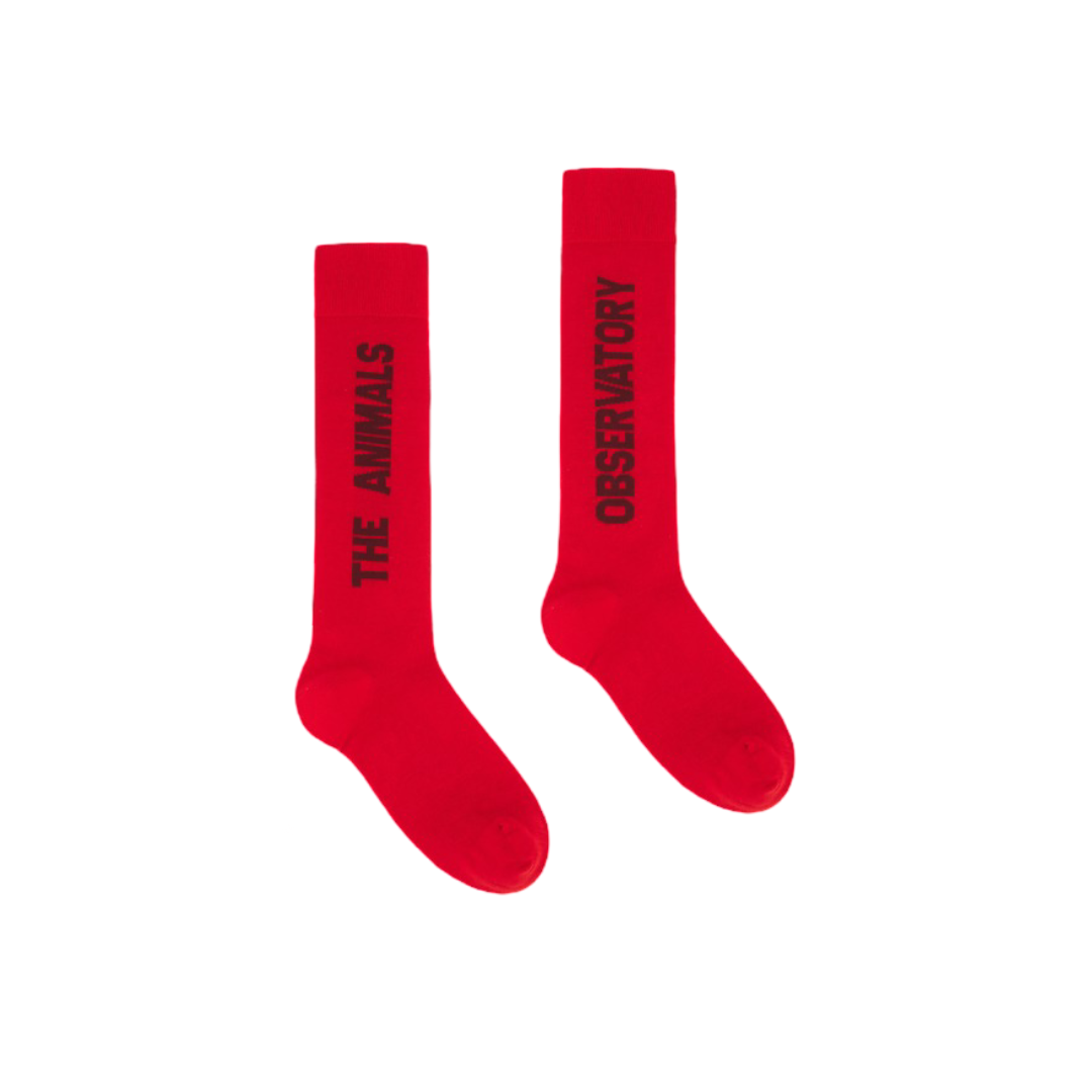 The Animals Observatory Worm Kids Socks Red