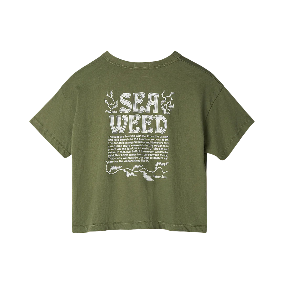 Ziggy Zaza Seaweed Tee Kelp